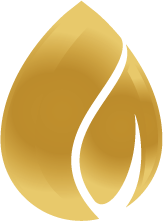 elmento goccia inserito nel logo Nelibe